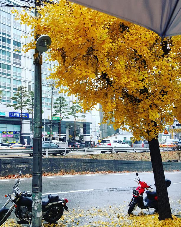Feliz Guesthouse, Seoul Station Dış mekan fotoğraf